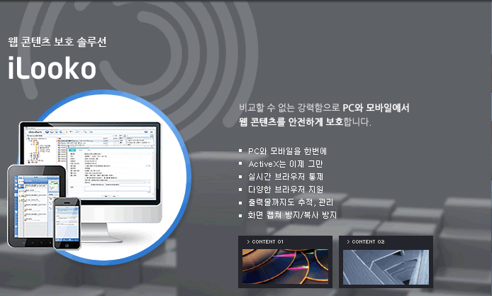 웹 콘텐츠 보호 솔루션 iLooko